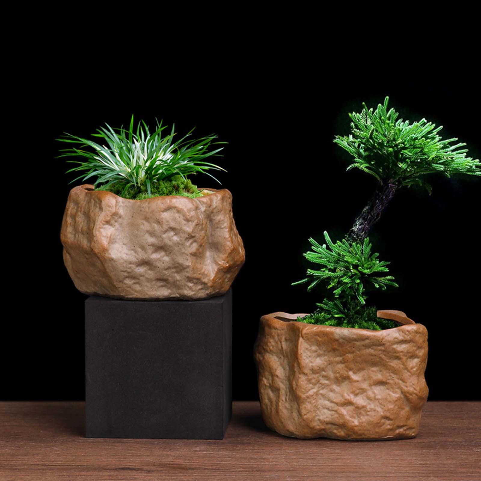 Training Pot Ceramic - Ceramiczny doniczka na sukulenty, lekka doniczka
