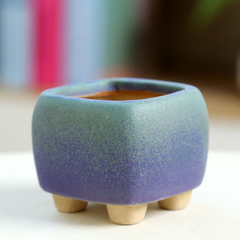 Mini mięsista doniczka ceramic – Training Pot Ceramic recenzja i cena