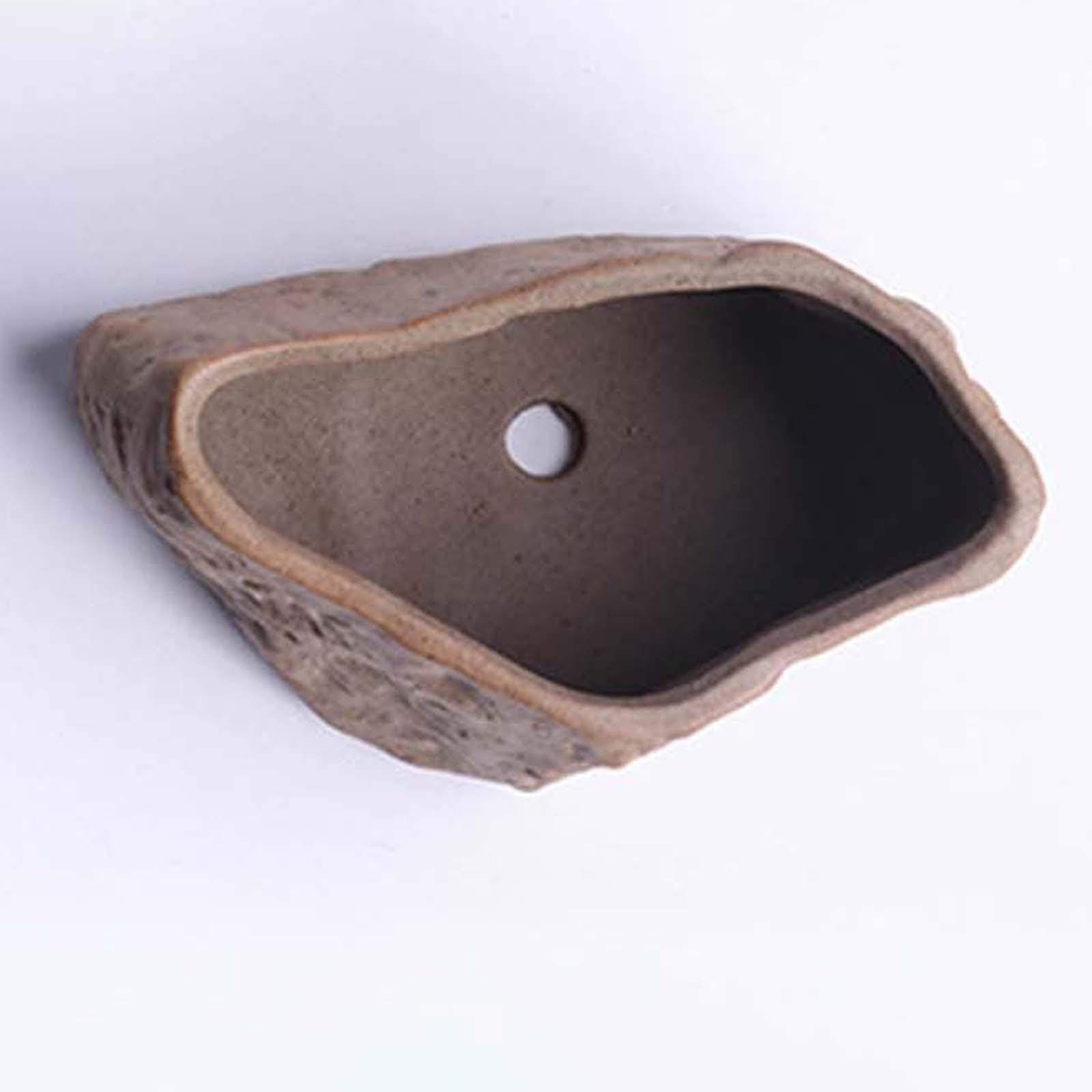 Ceramiczny doniczka na sukulen – Training Pot Ceramic recenzja i cena
