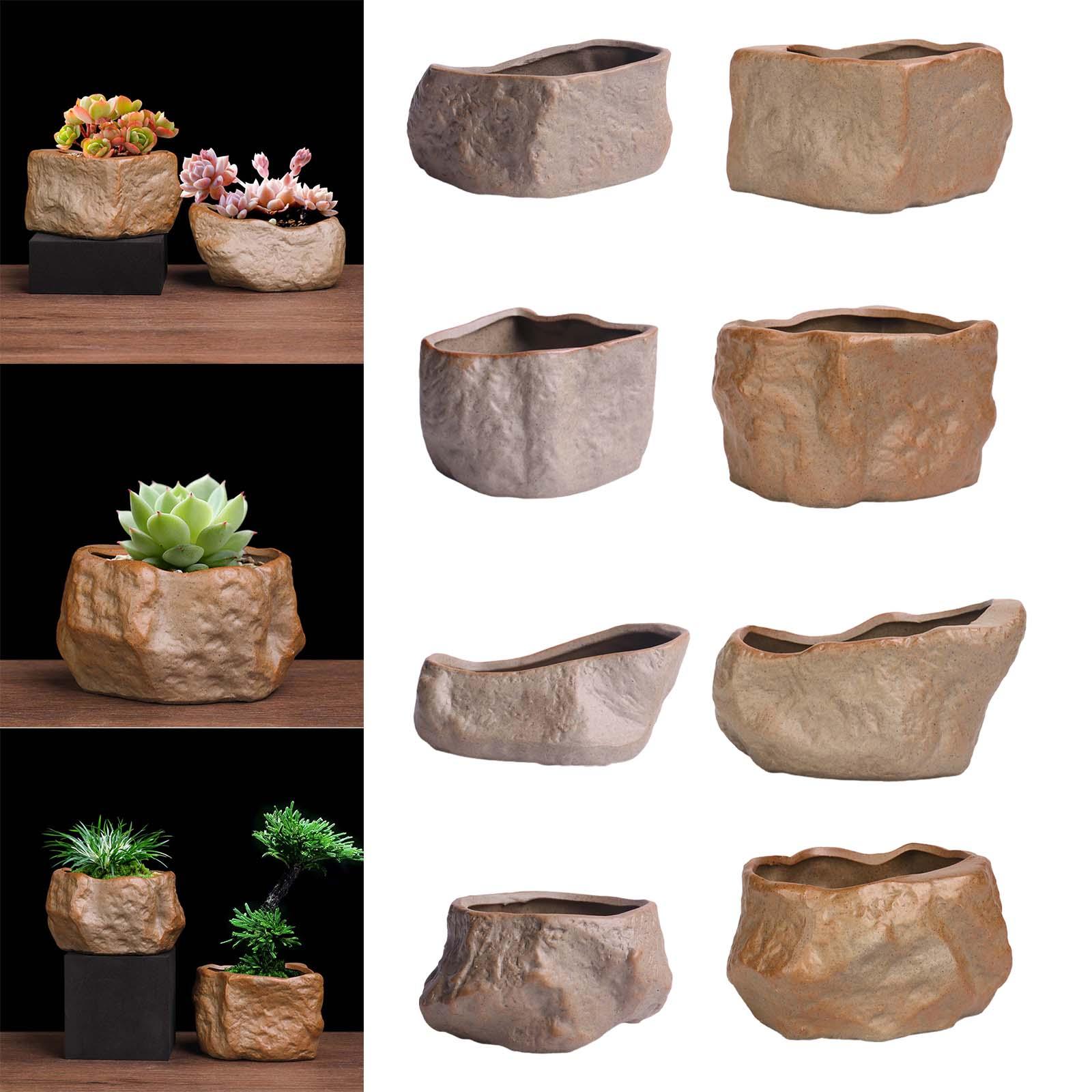 Ceramiczny doniczka na sukulen – Training Pot Ceramic recenzja i cena