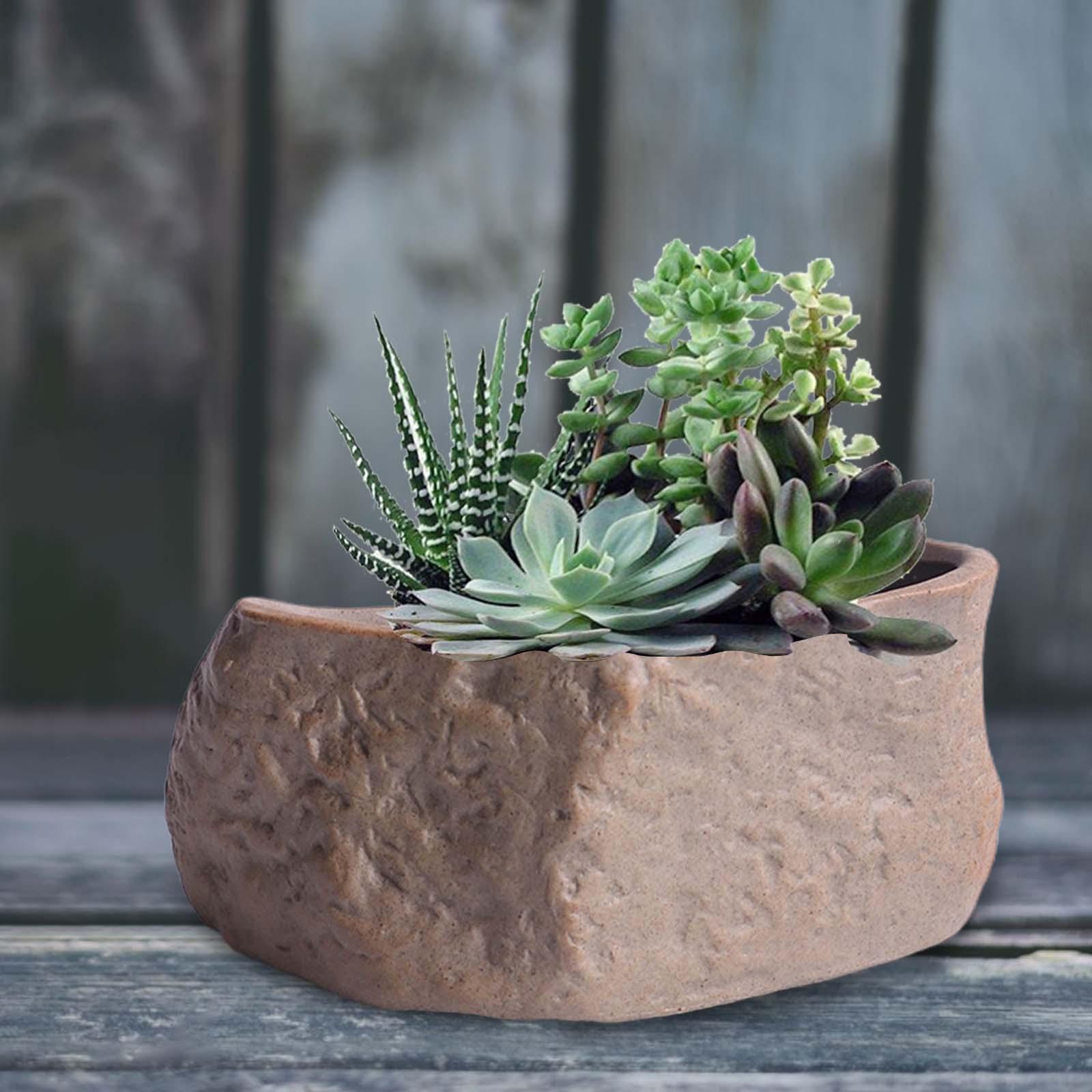Ceramiczne doniczki na sukulen – Training Pot Ceramic recenzja i cena