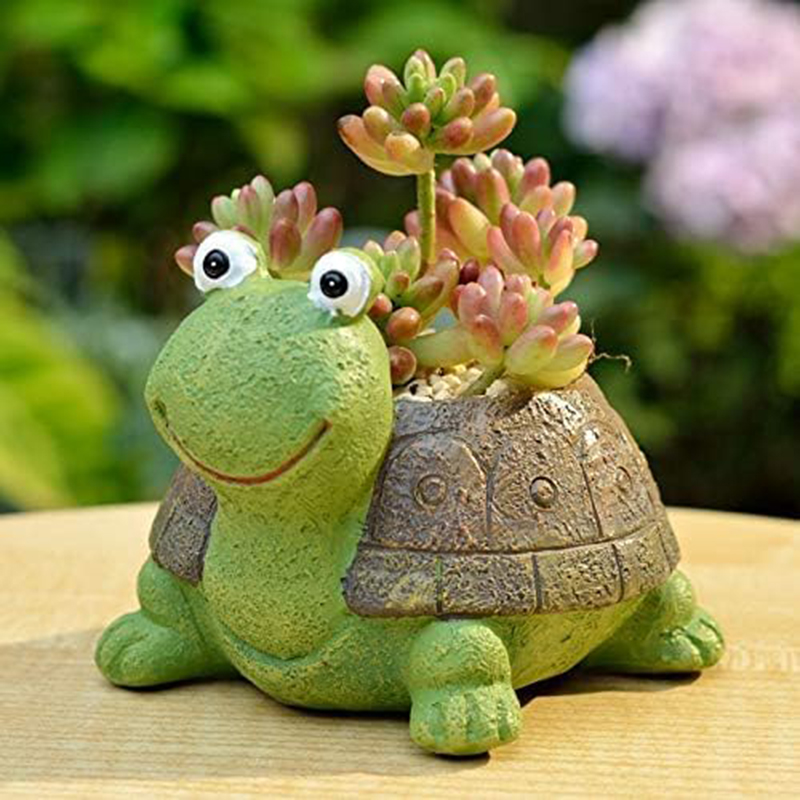 Śliczny żółw doniczka sukulent – Bonsai Garden Gift recenzja i cena