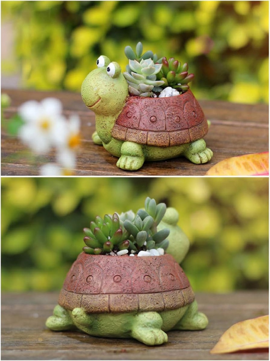 Śliczny żółw doniczka sukulent – Bonsai Garden Gift recenzja i cena