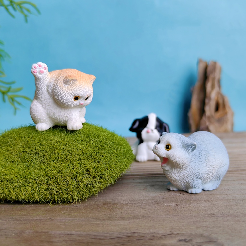 6 szt. Śliczny kot zestaw dla  – Bonsai Garden Gift recenzja i cena