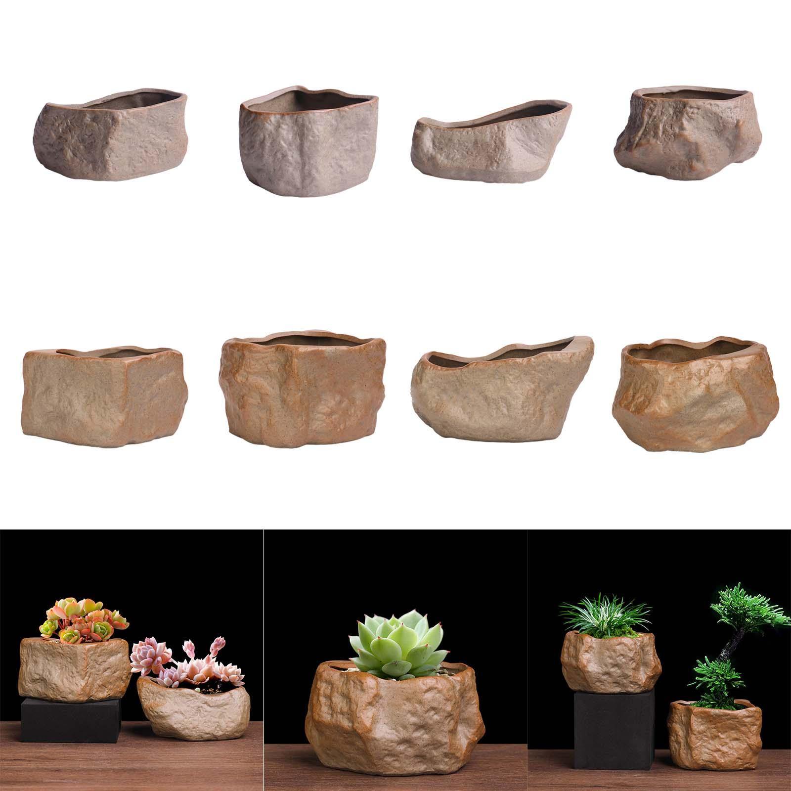 Ceramiczna doniczka na sukulen – Training Pot Ceramic recenzja i cena
