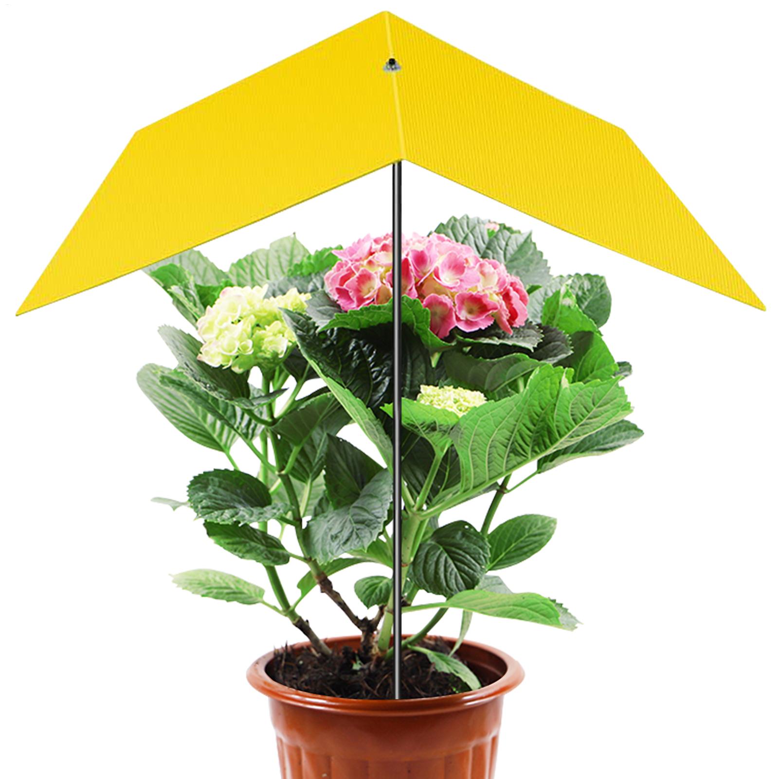 Parasole do roślin zewnętrznyc – Bonsai Garden Backyard recenzja i cena