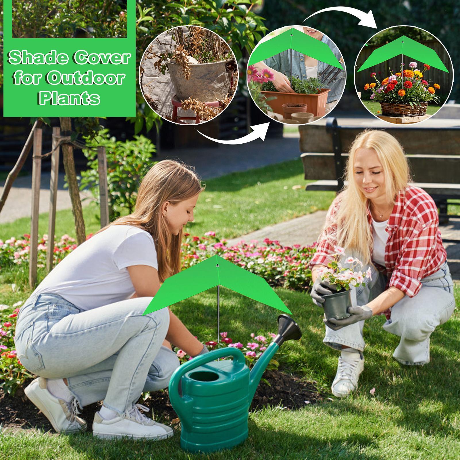 Parasole do roślin zewnętrznyc – Bonsai Garden Backyard recenzja i cena